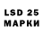 Ecstasy Philipp Plein Tanya Salogyb