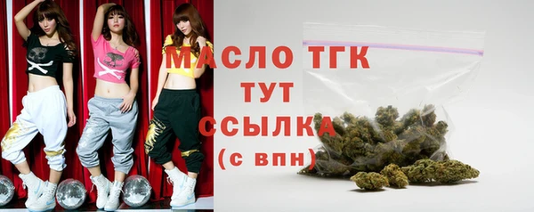 амф Верхний Тагил
