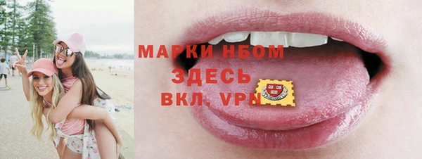 спиды Бородино