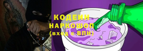 спиды Бородино