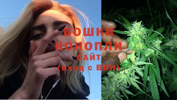 спиды Бородино