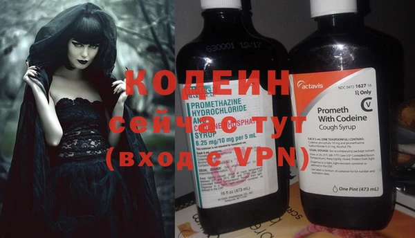 спиды Бородино
