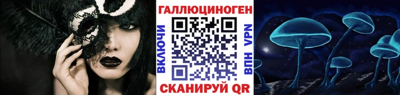 Галлюциногенные грибы Psilocybine cubensis  Вичуга 